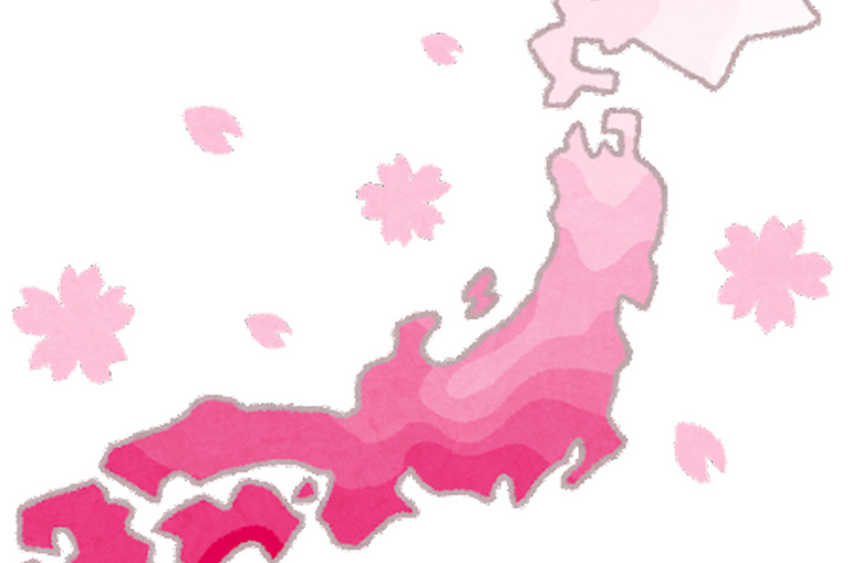 ohanami_sakura_zensen