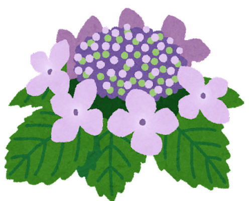 flower_gaku_ajisai
