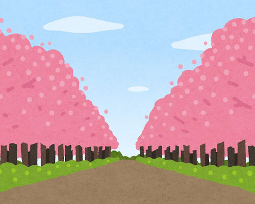 bg_namikimichi1_sakura