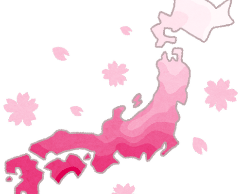 ohanami_sakura_zensen